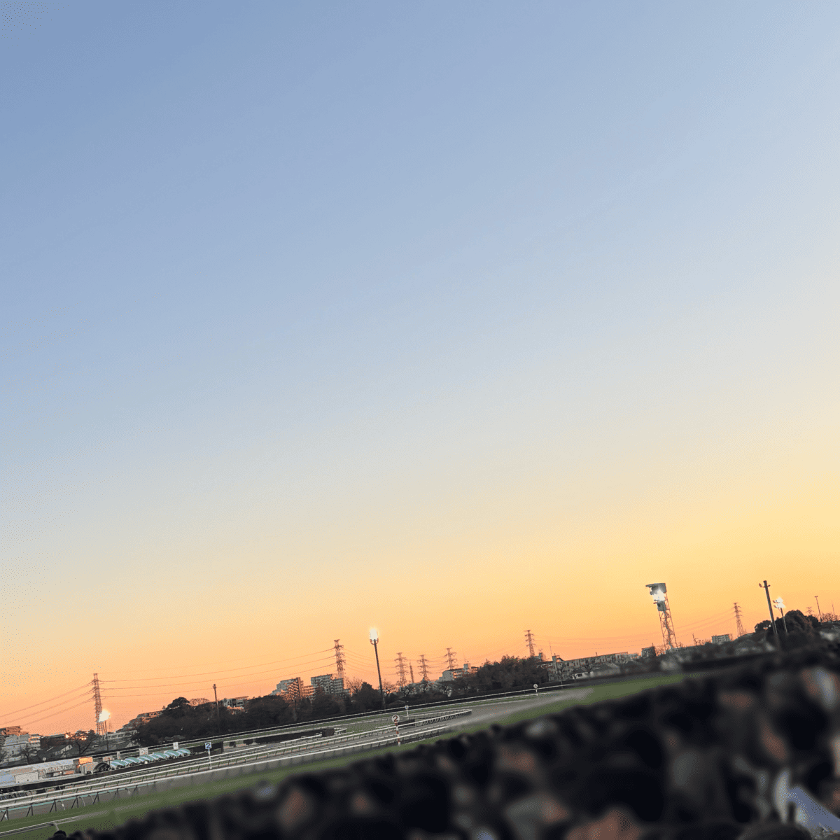 有馬記念 レース直前 混雑状況 左側