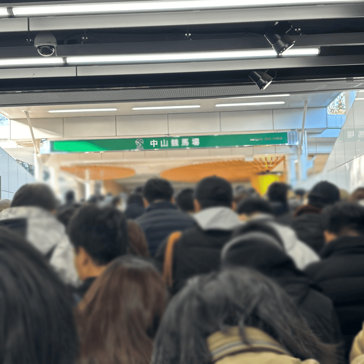 有馬記念 入場 待機列