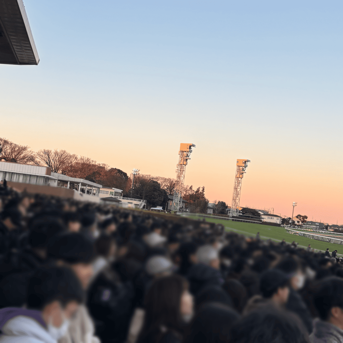 有馬記念 レース直前 混雑状況 右側