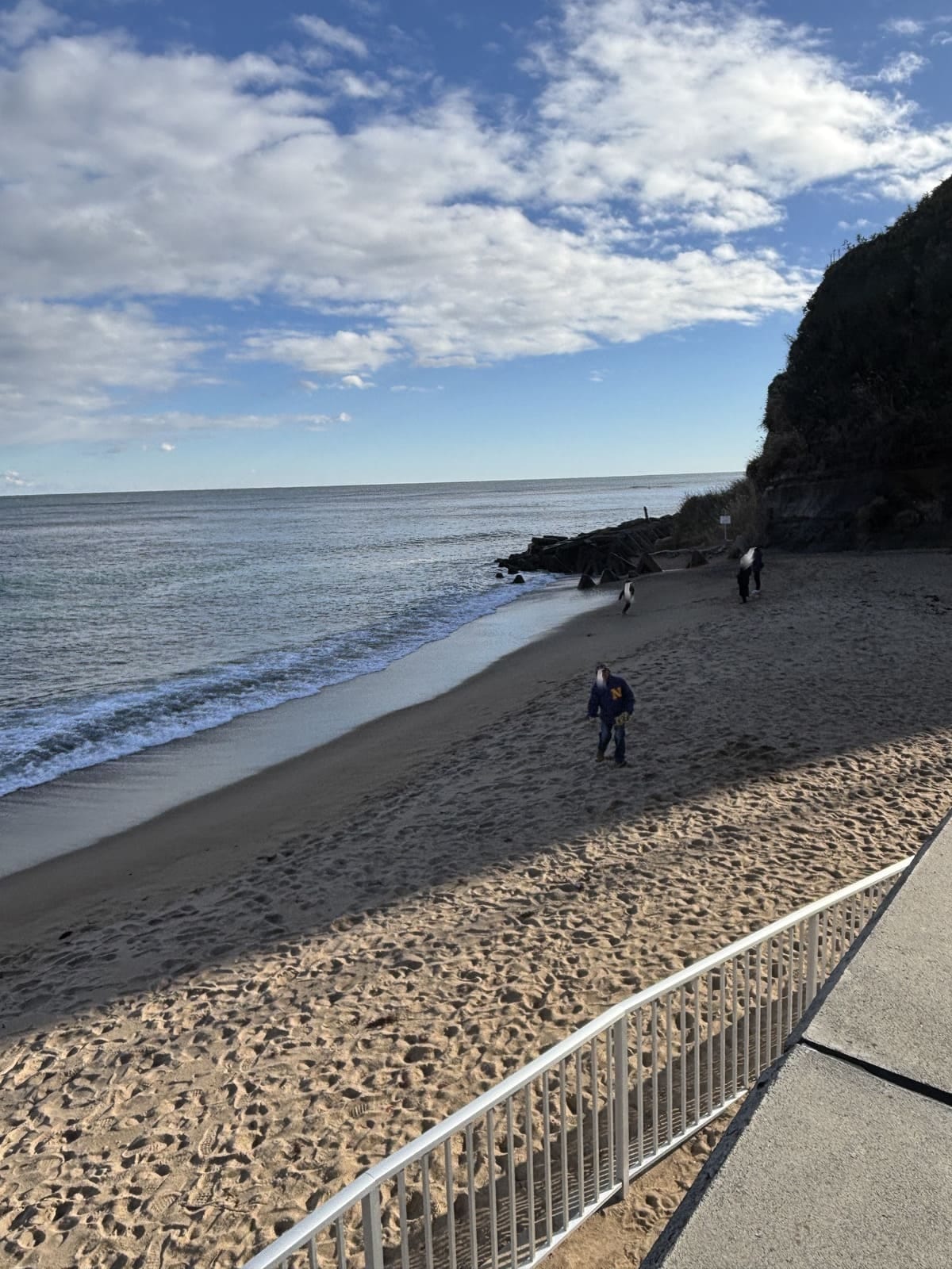 水木海水浴場 砂浜