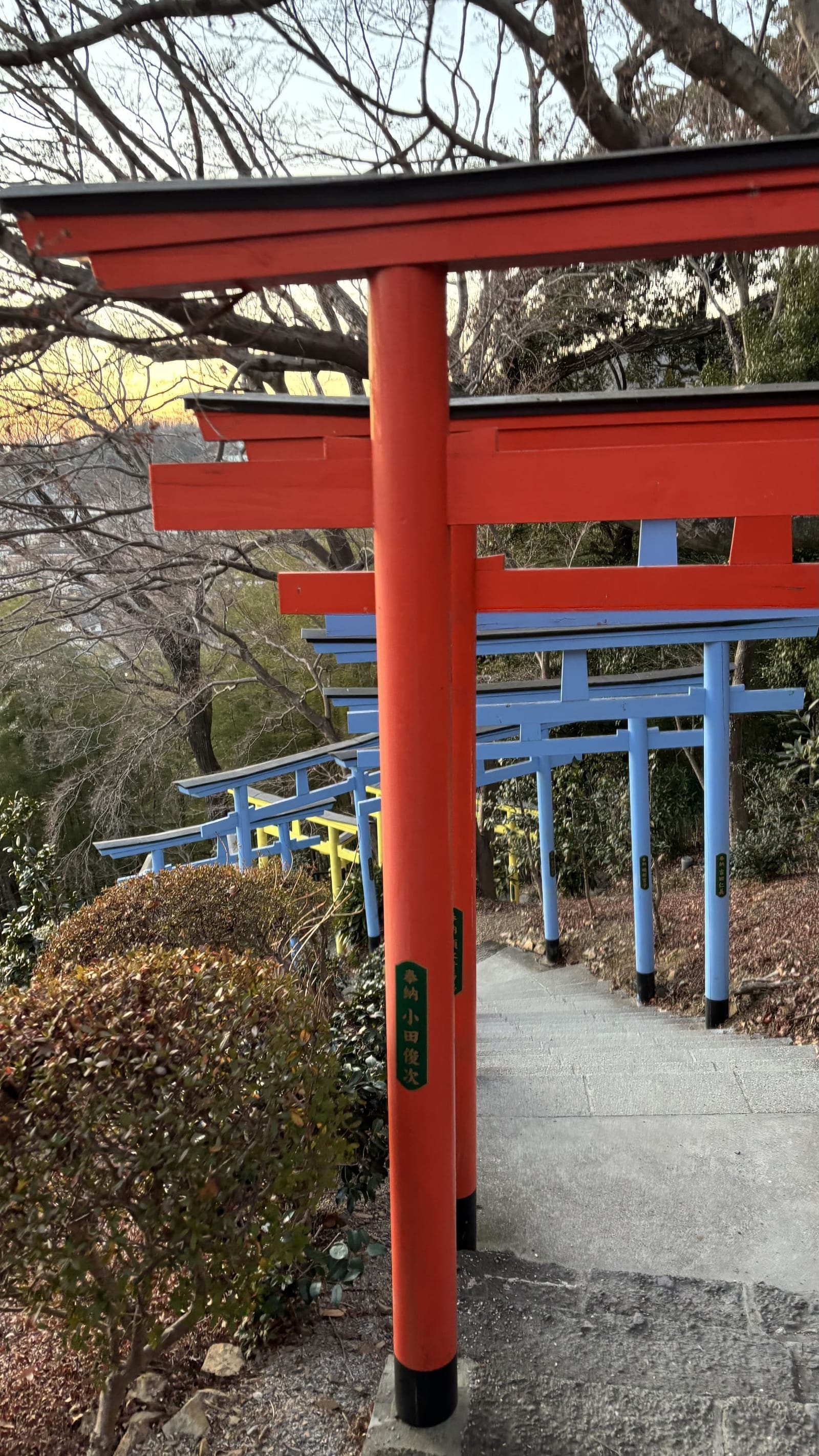 足利織姫神社 鳥居