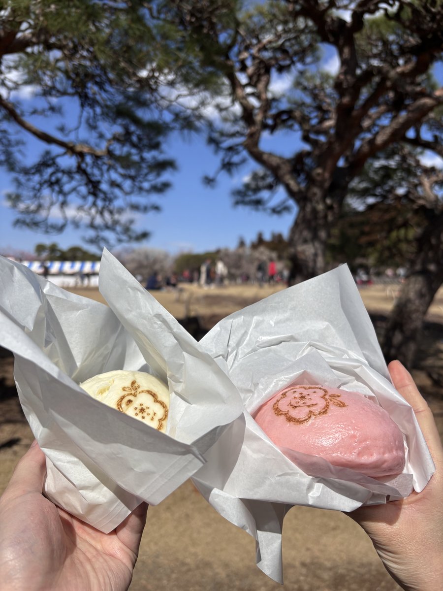 偕楽園 水戸の梅まつり 梅え～肉まん UMEあんまん