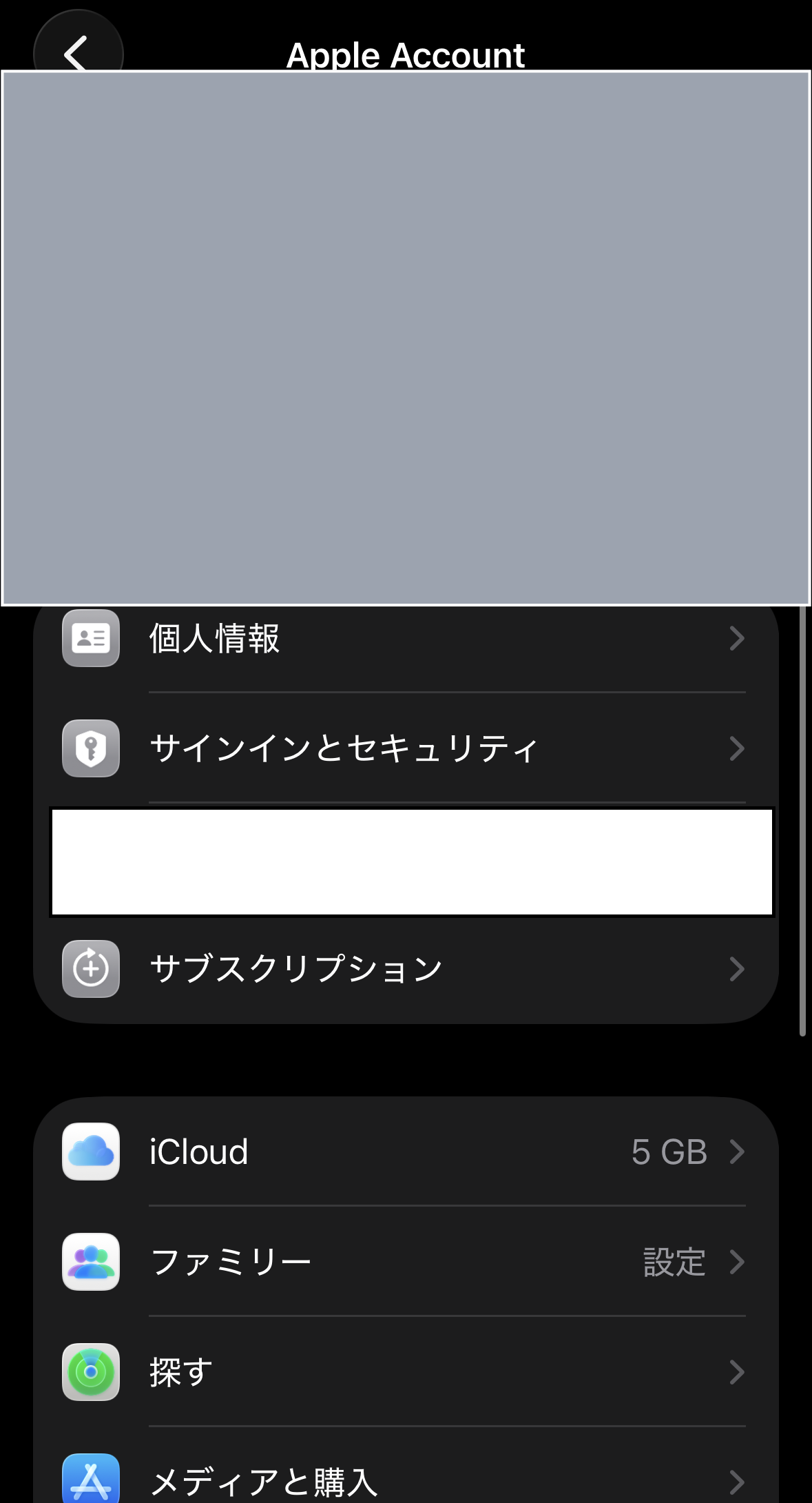 iPhone Apple Account 画面で iCloud のメニューが見える状態
