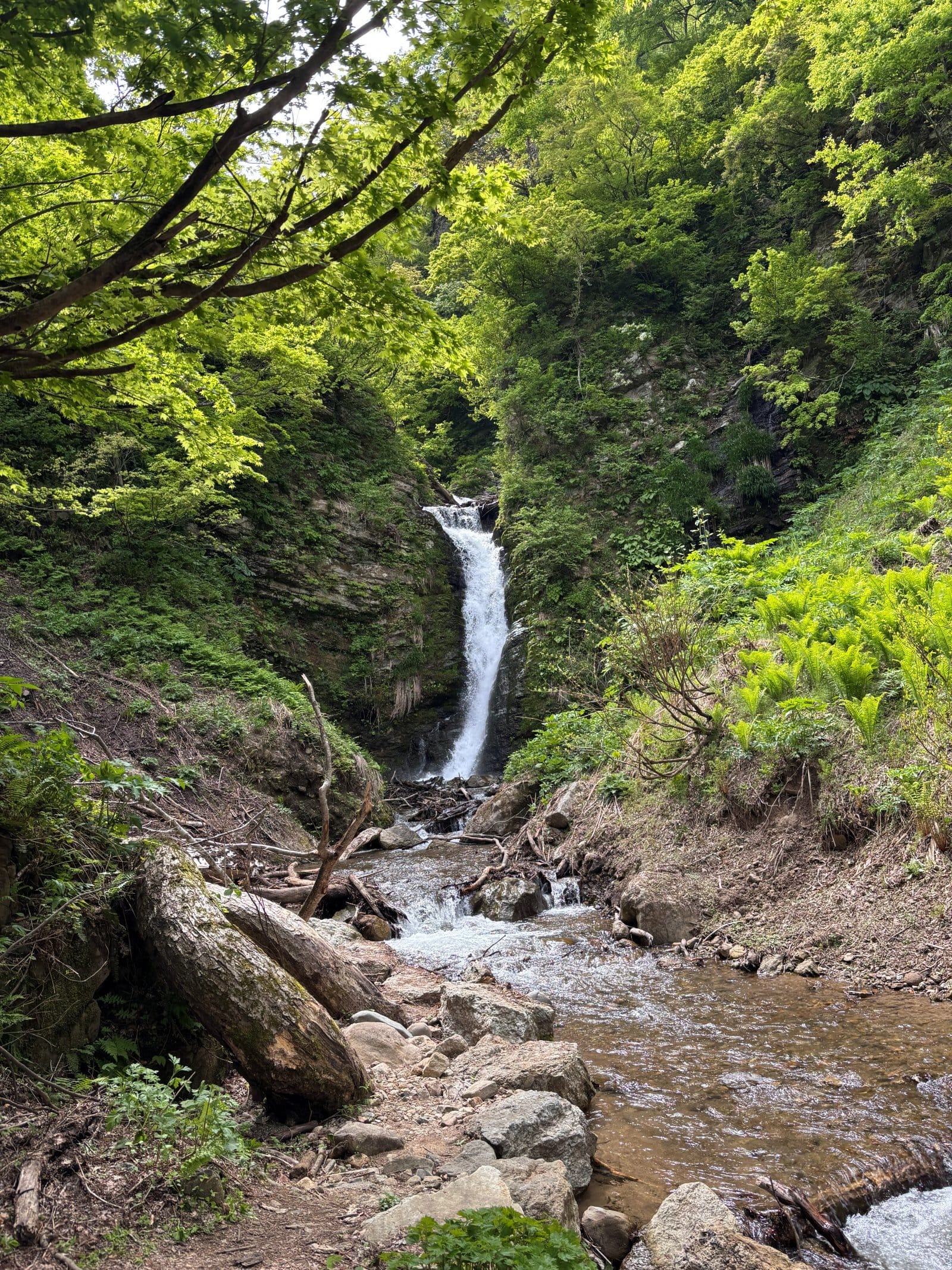 不動滝 小セン