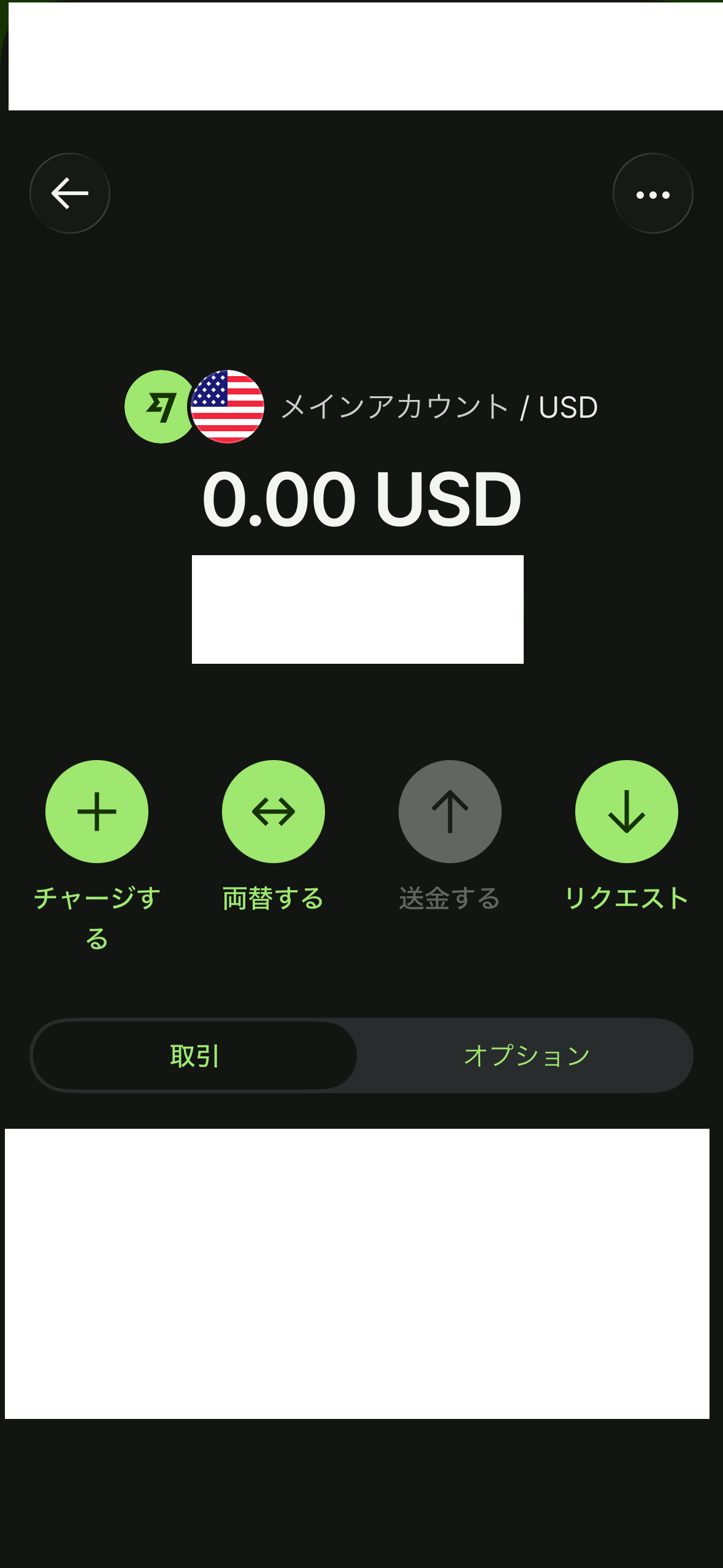 Wise USD両替画面