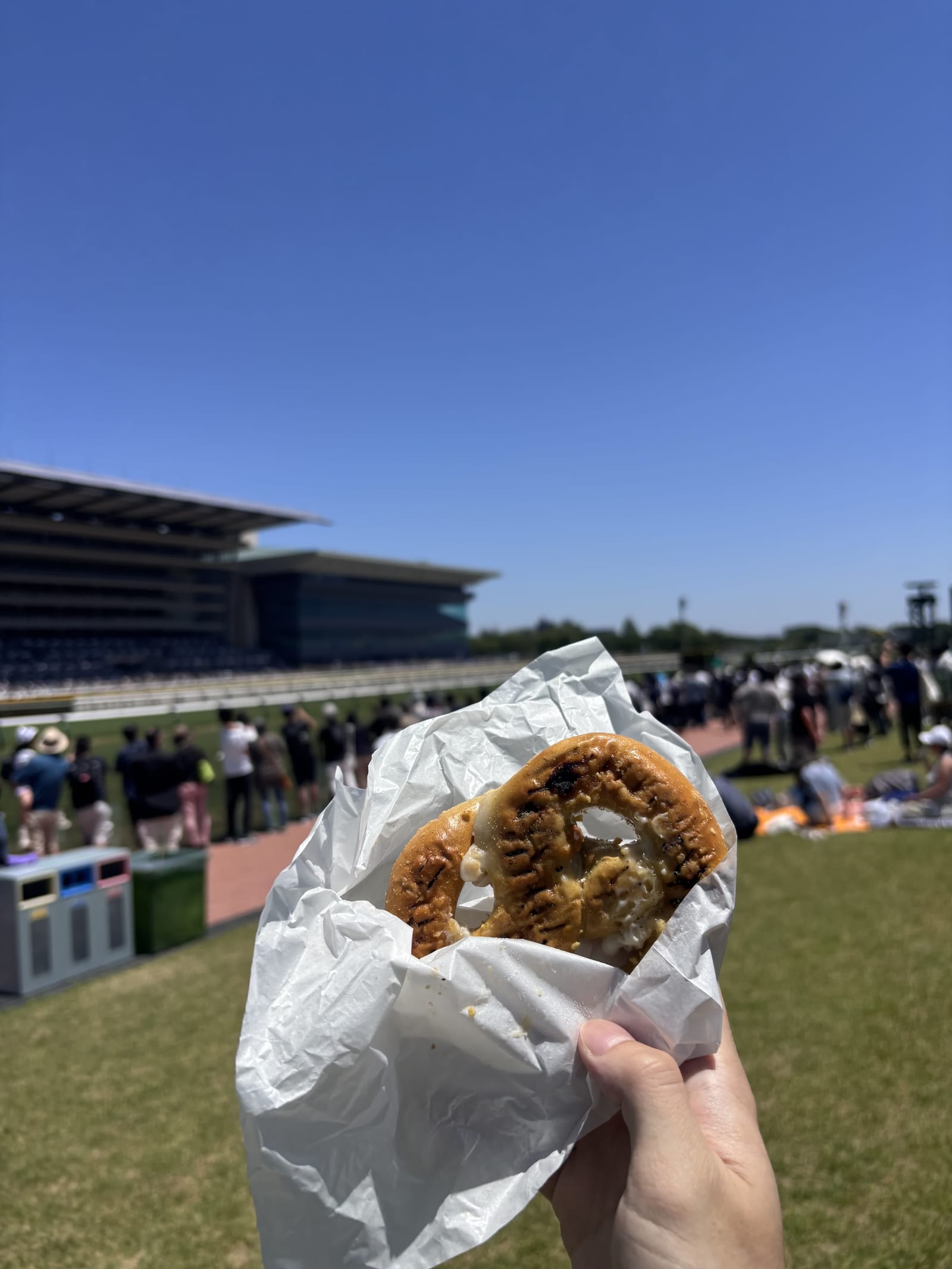 東京競馬場 馬場内の芝生 居座りスポット スタンドを望む開放的な芝生