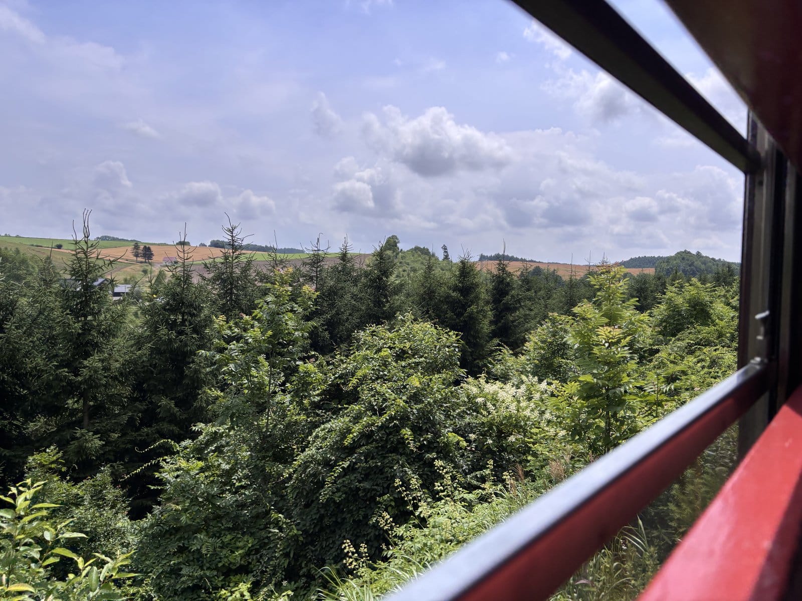 針葉樹の向こうになだらかな丘が広がる車窓風景