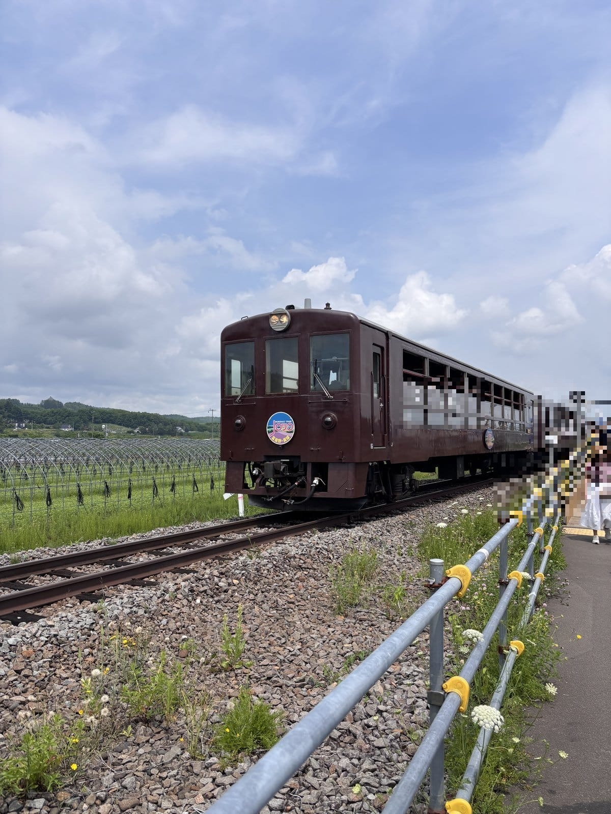 ラベンダー畑に囲まれた駅に停車する富良野・美瑛ノロッコ号の茶色い客車