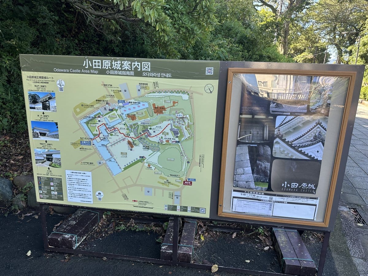 小田原城 案内図 登城ルート