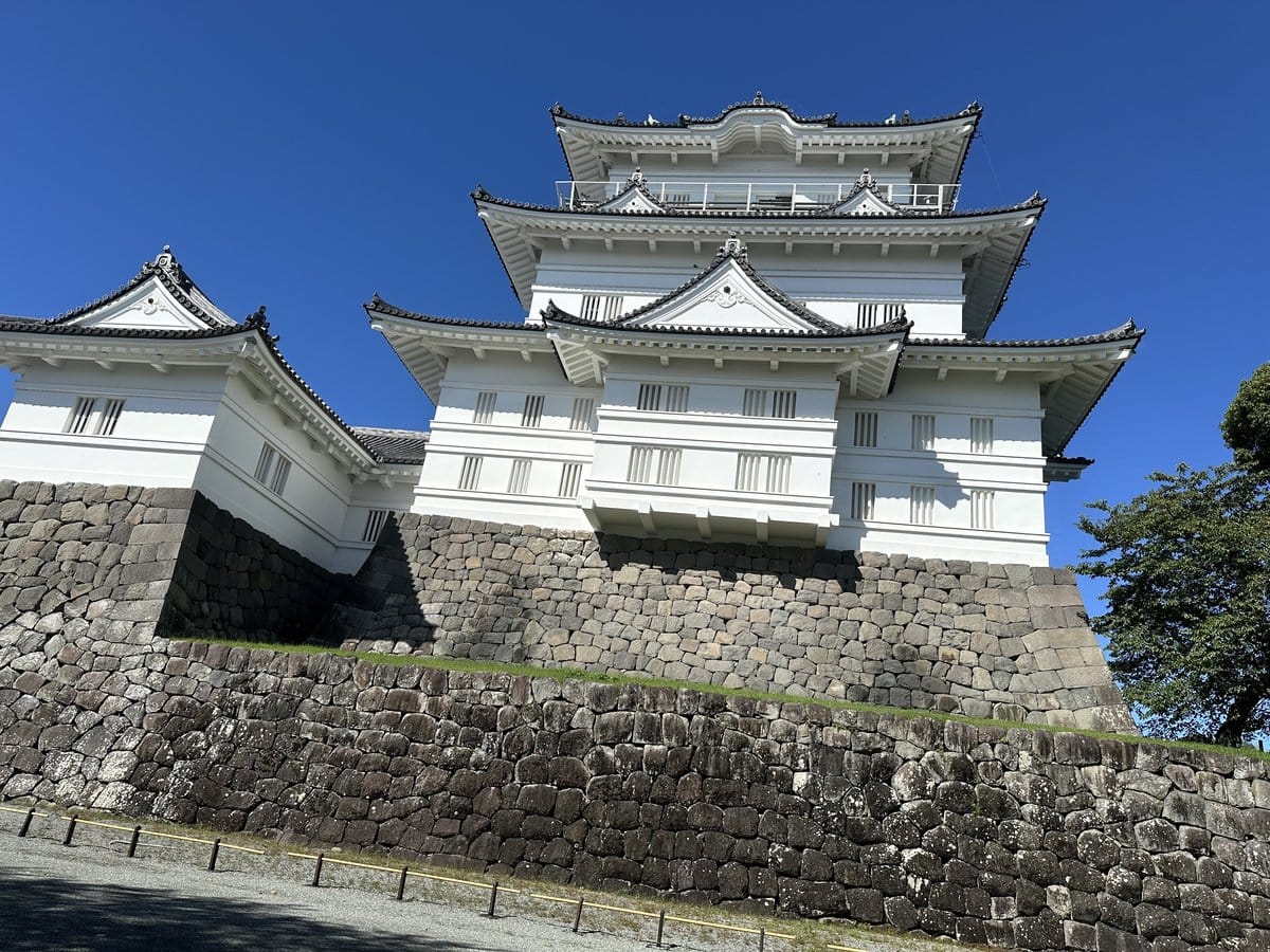 小田原城 天守閣 白い天守と石垣