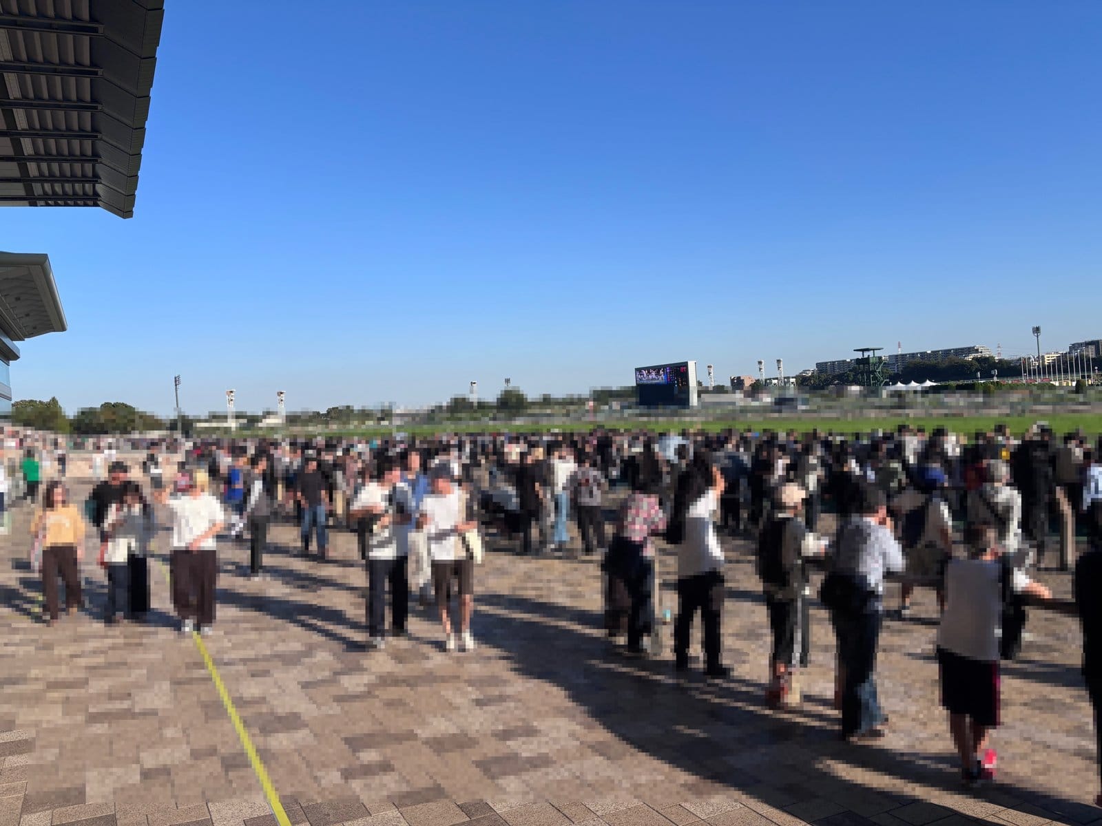 東京競馬場のスタンド前の広場とコース 青空の下で人が集まっている様子